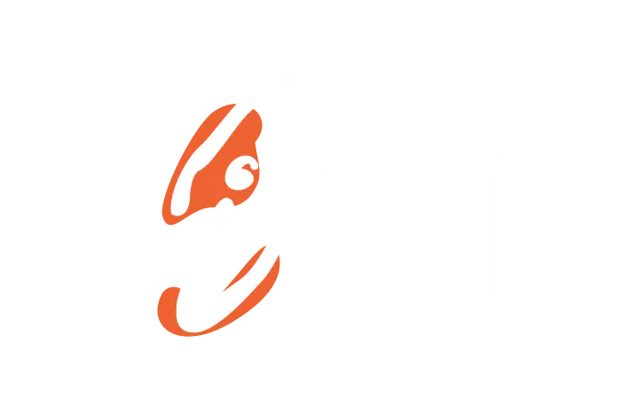 Fink logo stylised by Anastasiya Voloshina